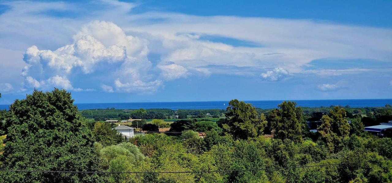 Villa Bistinetti Rez De Villa Tout Confort Avec Piscine Penta di Casinca Екстер'єр фото